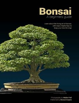 Bonsai for Beginner