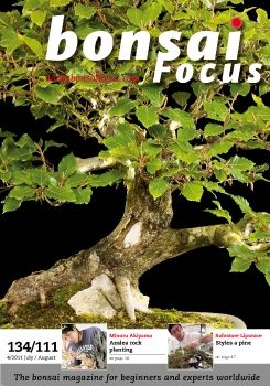 Focus 2011Q4