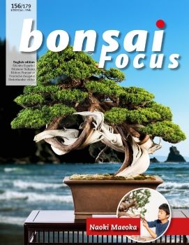 Focus 2019Q1
