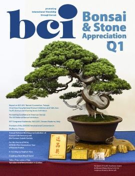 Tạp chí bonsai BCI 2018Q1