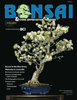 Tạp chí bonsai BCI 2011Q2
