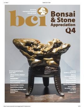 Tạp chí bonsai BCI 2019Q4