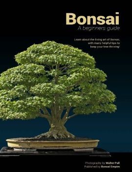Bonsai for Beginner