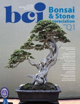 Tạp chí bonsai BCI 2015Q1