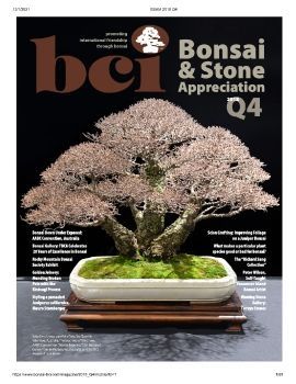 Tạp chí bonsai BCI 2018Q4