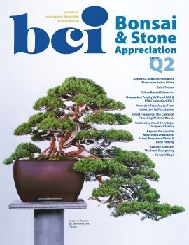 Tạp chí bonsai BCI 2017Q2