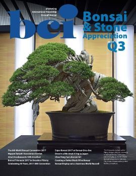 Tạp chí bonsai BCI 2017Q3