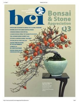 Tạp chí bonsai BCI 2020Q3