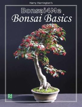 Bonsai Basic B4Me