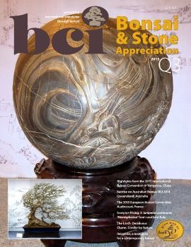 Tạp chí bonsai BCI 2013Q3