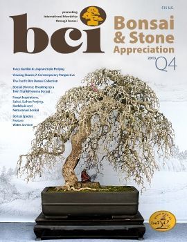 Tạp chí bonsai BCI 2013Q4