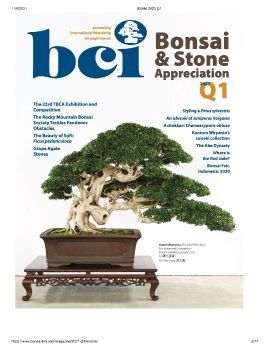 Tạp chí bonsai BCI 2021Q1