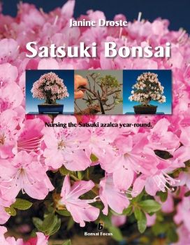 Đỗ Quyên Bonsai