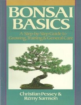 Bonsai Basic Care