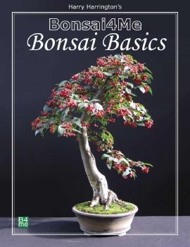 Bonsai Basic B4Me
