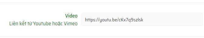 youtube 3