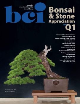 BCI 2017Q1