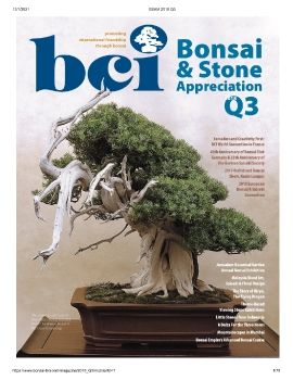 BCI 2018Q3