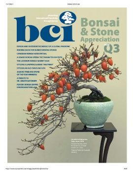 Tạp chí bonsai BCI 2020Q3