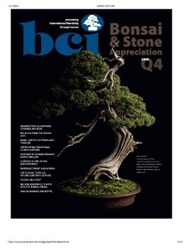 Tạp chí bonsai BCI 2020Q4