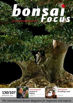 Tạp chí Bonsai Focus 2010Q6