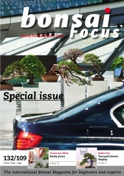 Focus 2011Q2