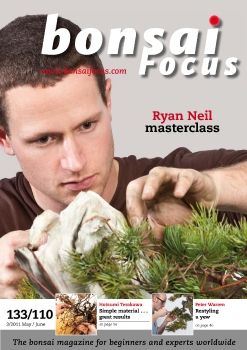 Focus 2011Q3