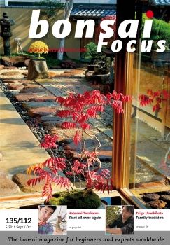 Focus 2011Q5