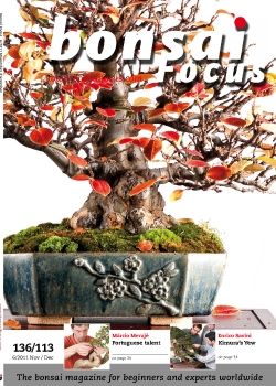 Focus 2011Q6