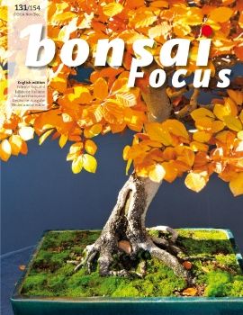 Tạp chí Bonsai Focus 2014Q6