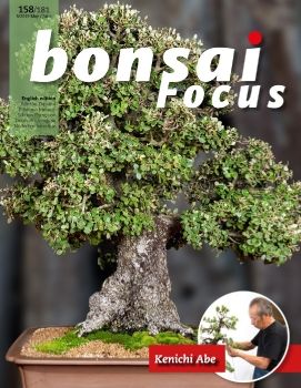 Focus 2019Q3