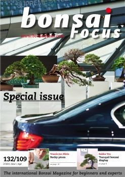 Tạp chí Bonsai Focus 2011Q2