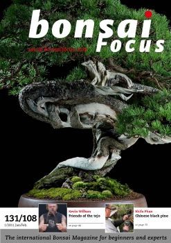 Tạp chí Bonsai Focus 2011Q1