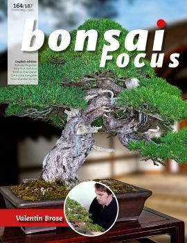 Tạp chí Bonsai Focus 2020Q3
