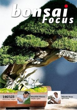 Tạp chí Bonsai Focus 2013Q4