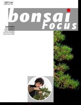 Tạp chí Bonsai Focus 2020Q6