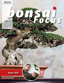 Tạp chí Bonsai Focus 2020Q4