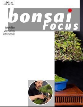 Tạp chí Bonsai Focus 2020Q5