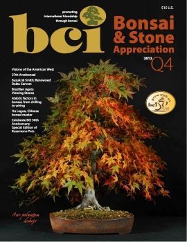 Tạp chí bonsai BCI 2012Q4
