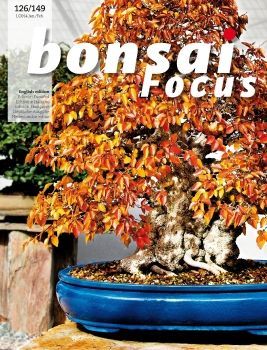 Tạp chí Bonsai Focus 2014Q1