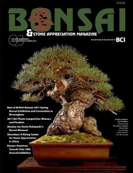 Tạp chí bonsai BCI 2011Q3