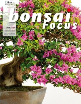 Tạp chí Bonsai Focus 2014Q4