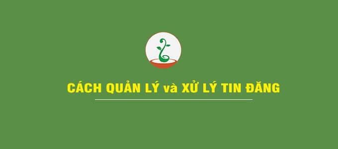 quản lý và xử lý tin