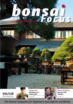 Tạp chí Bonsai Focus 2012Q8
