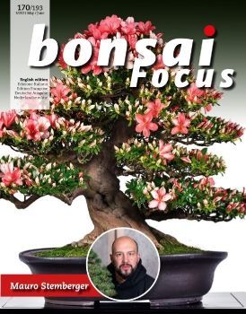 Tạp chí Bonsai Focus 2021Q3