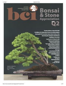 Tạp chí bonsai BCI 2019Q2