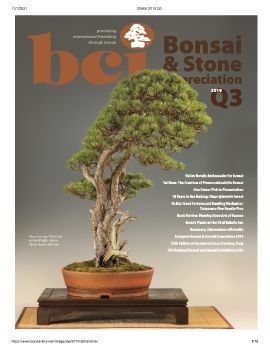Tạp chí bonsai BCI 2019Q3