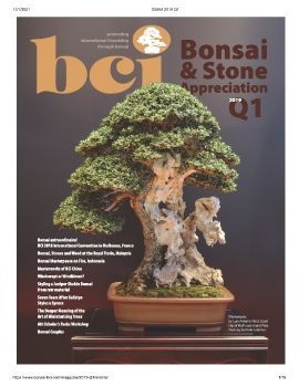 Tạp chí bonsai BCI 2019Q1