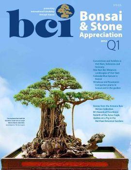 Tạp chí bonsai BCI 2012Q1