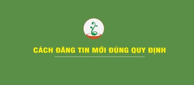 Cách đăng tin trên Lộc xanh Bonsai